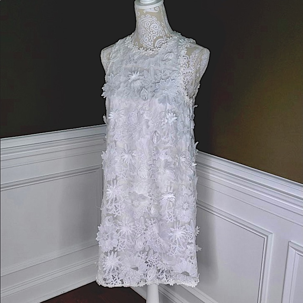 Anthropology Eri & Ali Shift Dress